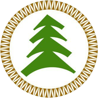 Логотип санатория «Сибирь»